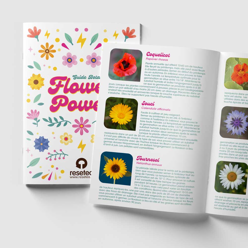 Kit de culture de 6 fleurs Flower Power