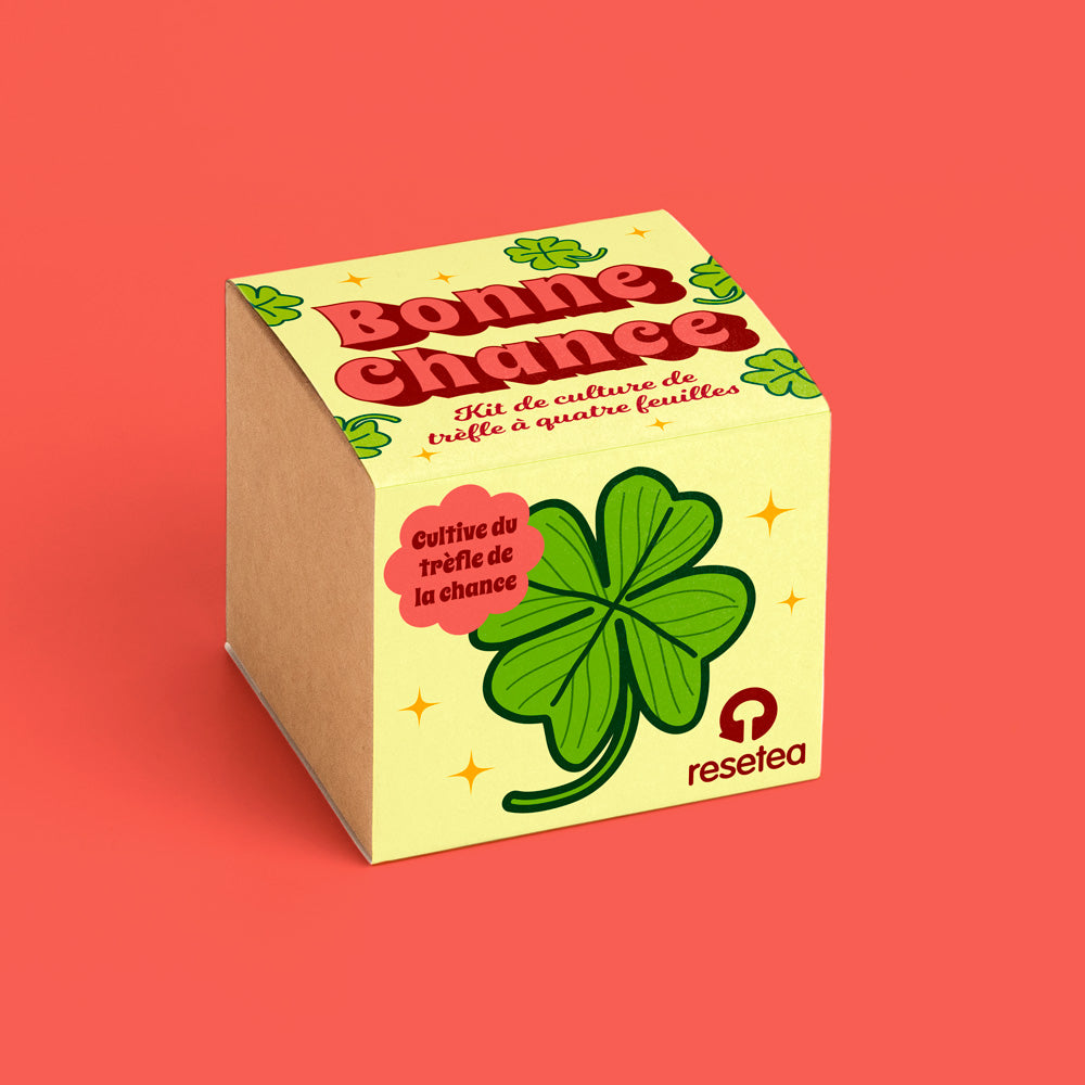 Kit de Culture Bonne Chance – Trèfle à Quatre Feuilles