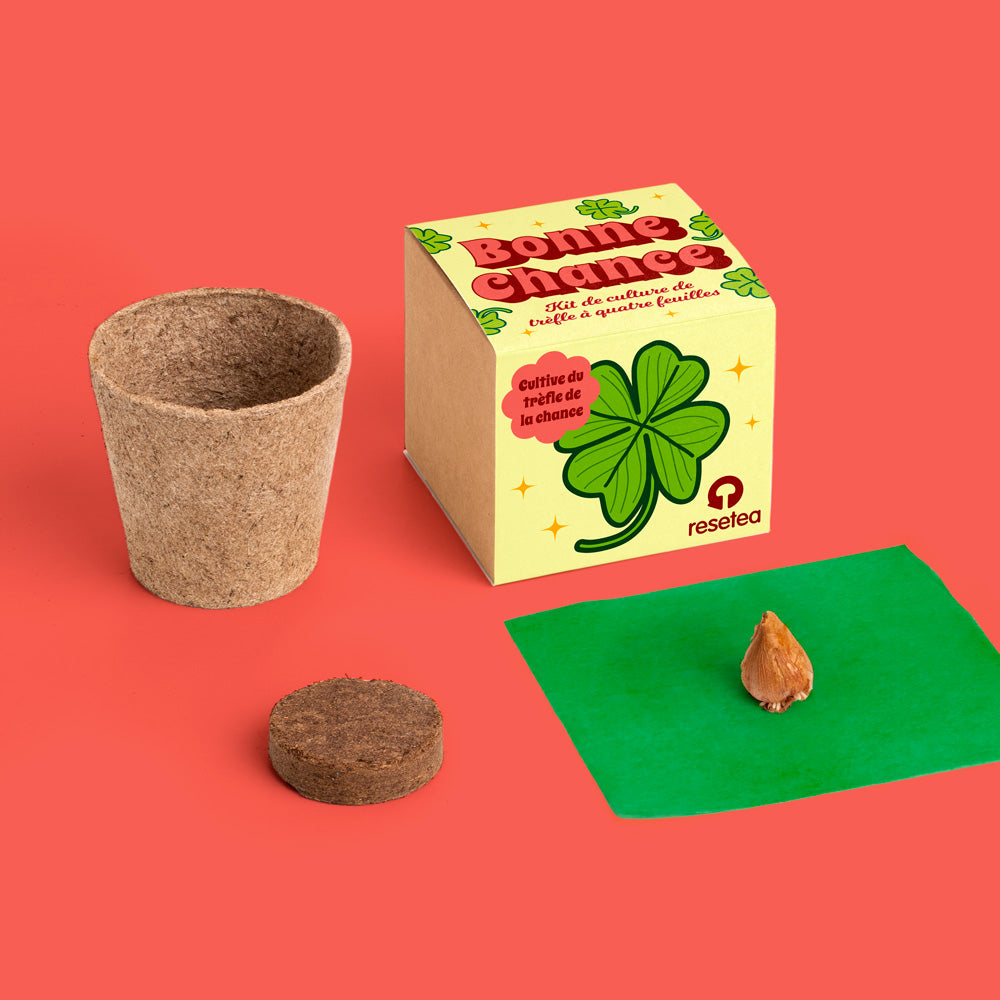 Kit de Culture Bonne Chance – Trèfle à Quatre Feuilles