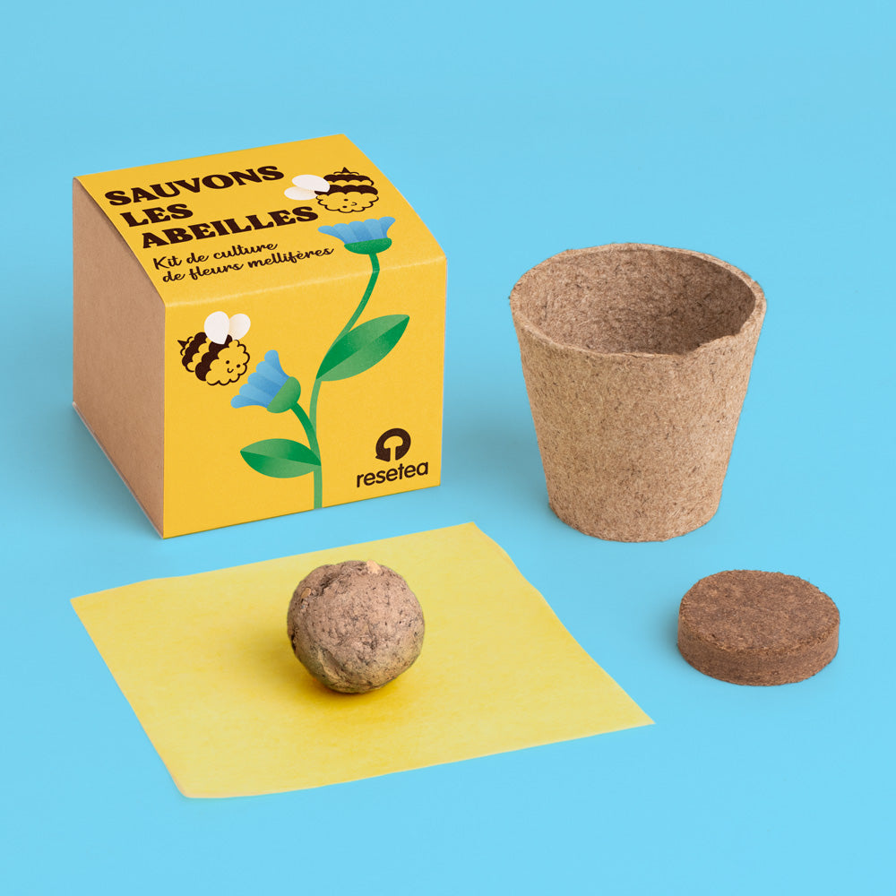 Kit de culture Sauvons les abeilles – Fleurs mellifères