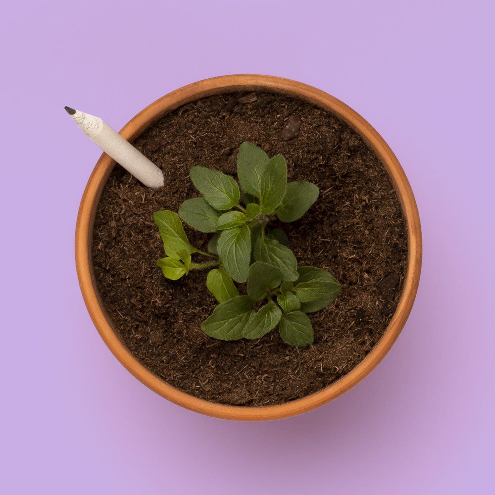 Crayon à planter de fleurs