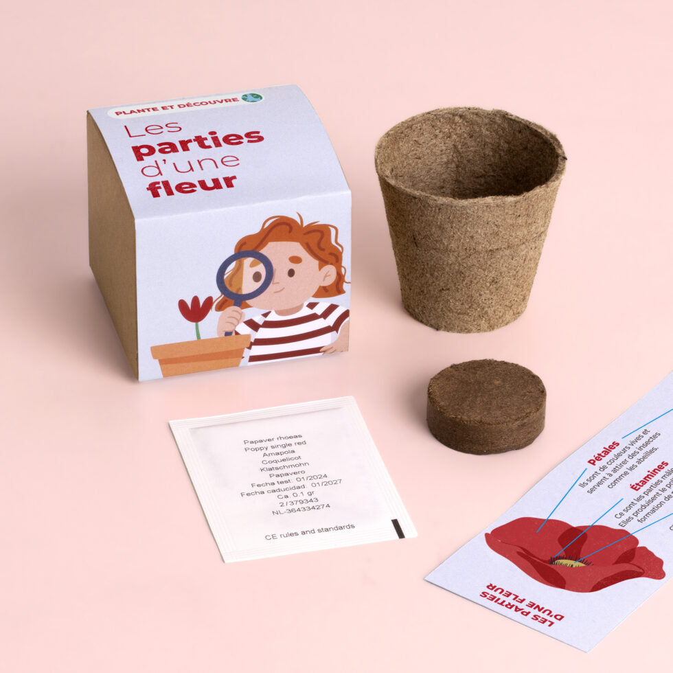 Kit de Culture Les Parties d'une Fleur – Coquelicot