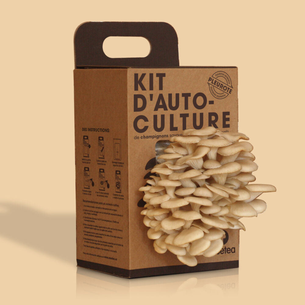Kit d'Auto-Culture de Champignons Pleurotes