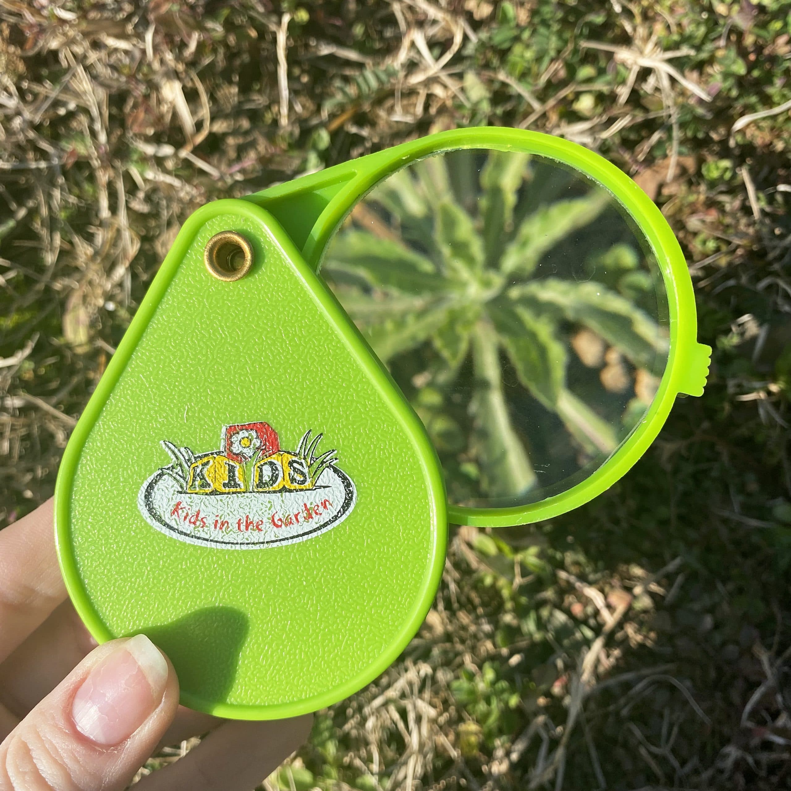 Loupe pour enfants