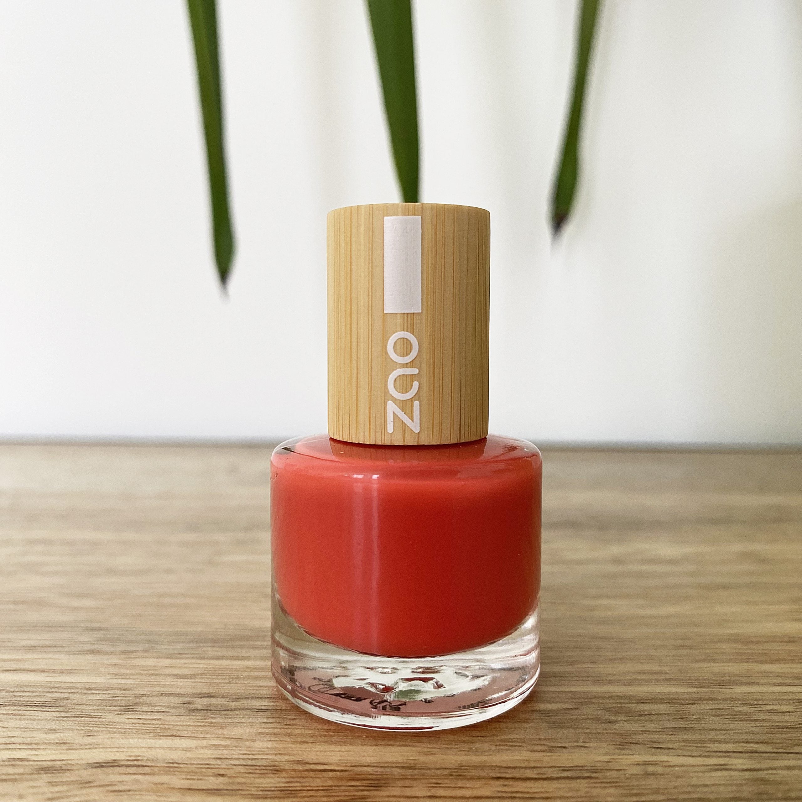 Set de 4 vernis biosourcés PASTEL