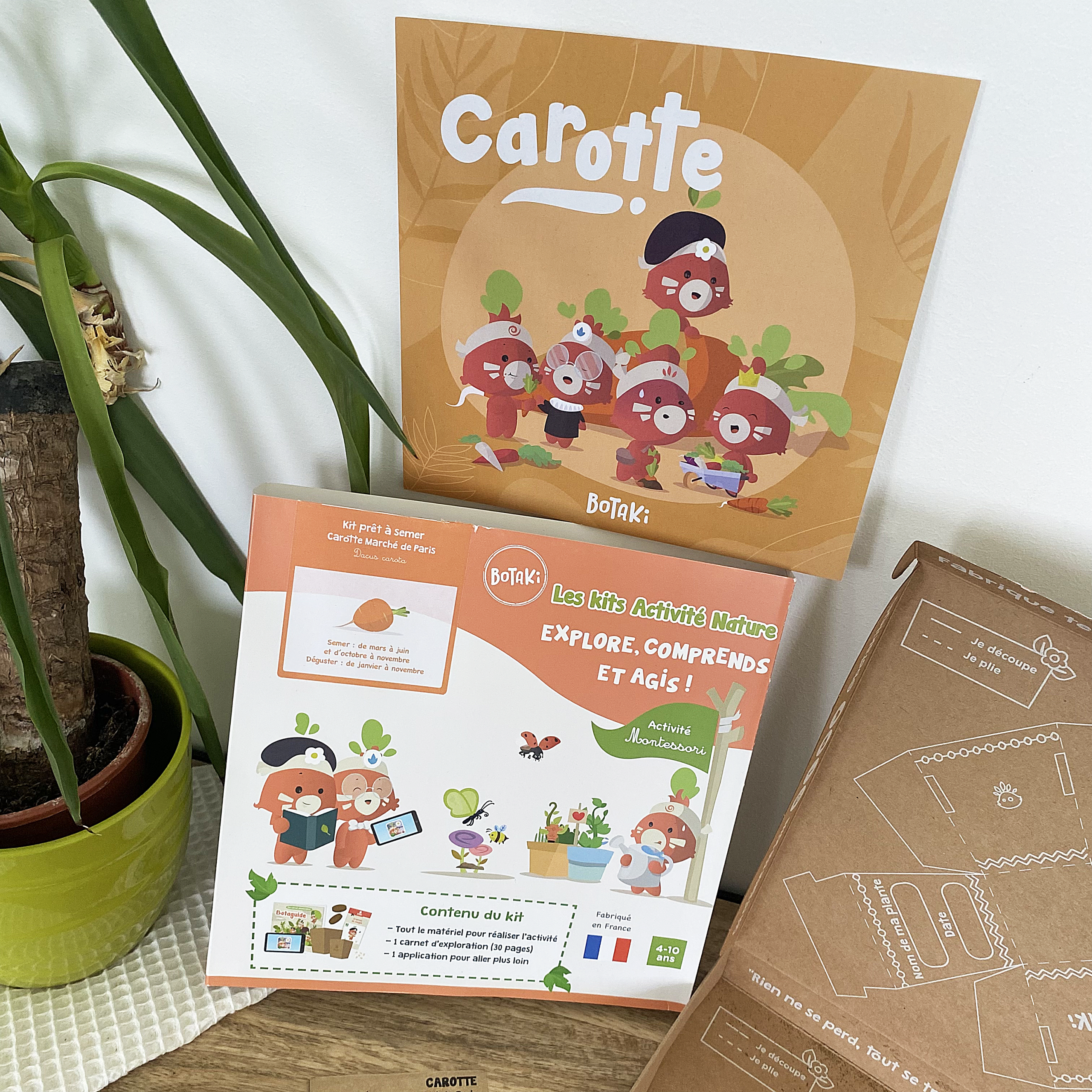 Créer mon potager maison : Le kit Semis Carotte