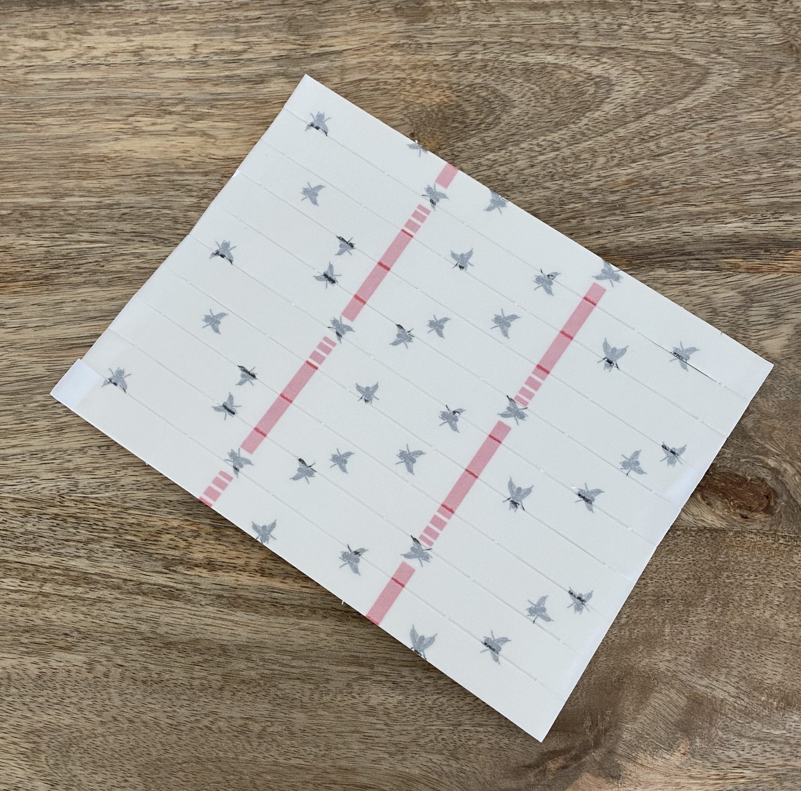 10 bandes attrape-mouches