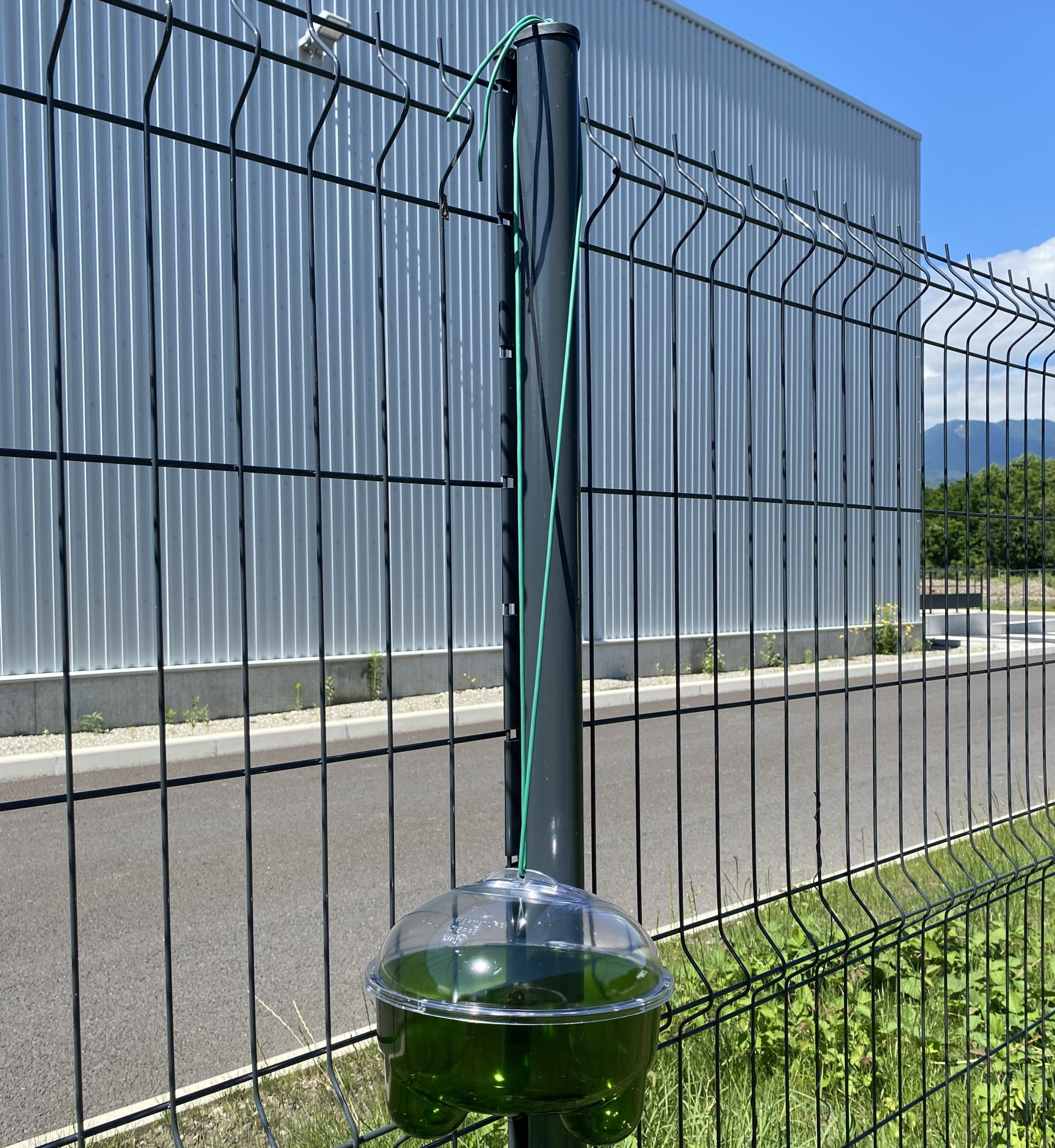 Piège écologique pour guêpes et frelons