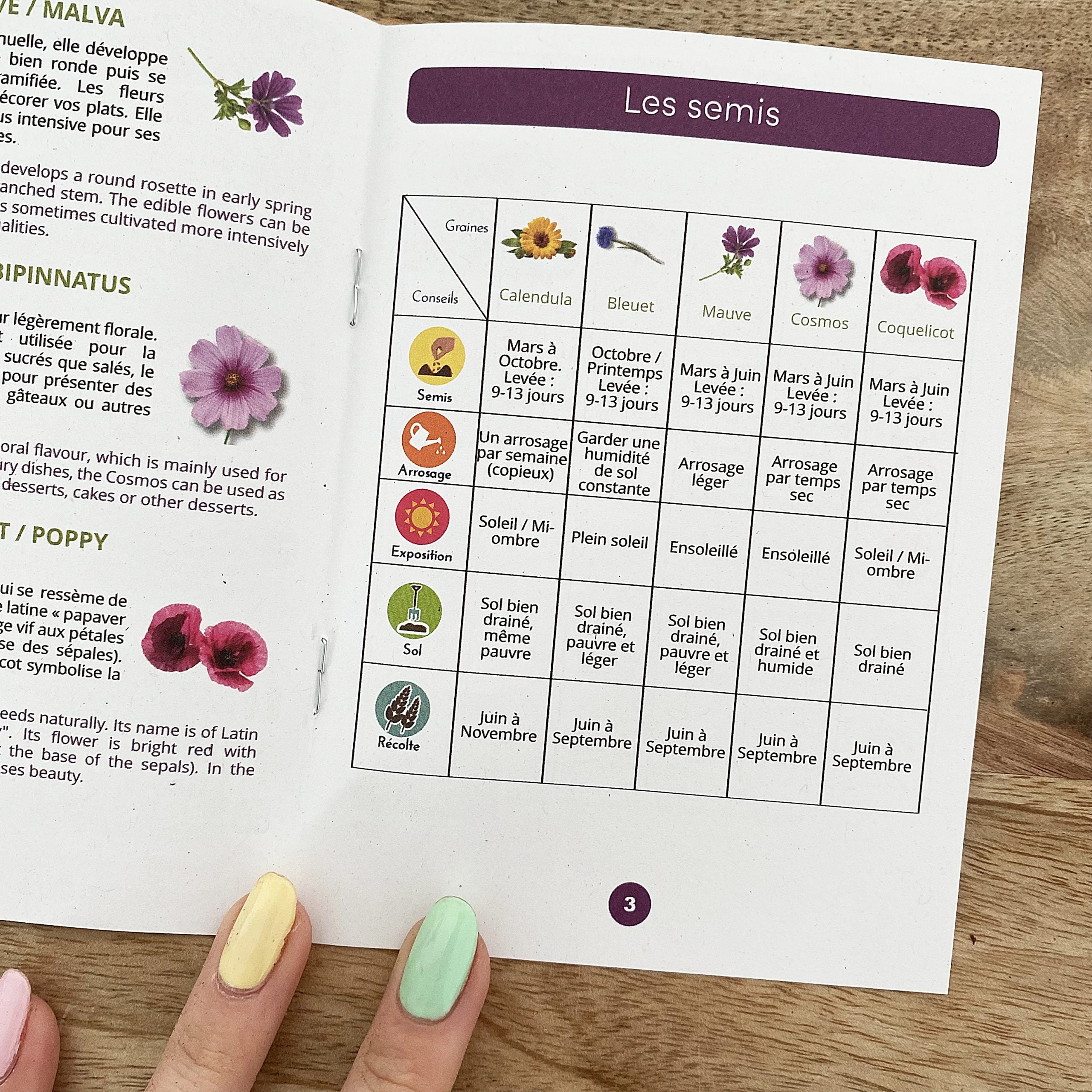 Coffret : Je fais pousser mes fleurs comestibles BIO