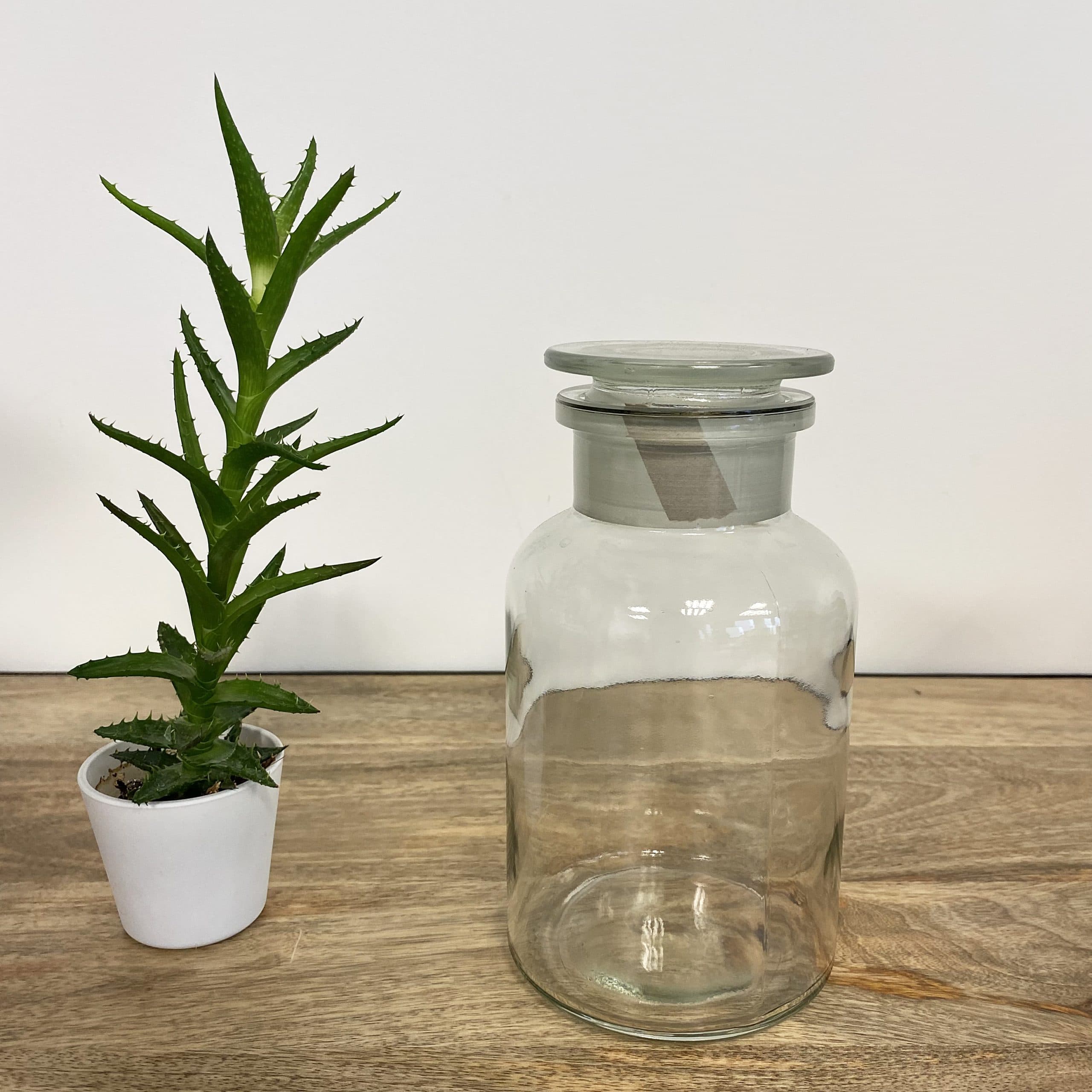 Jar en verre 1 L - Coloris au choix