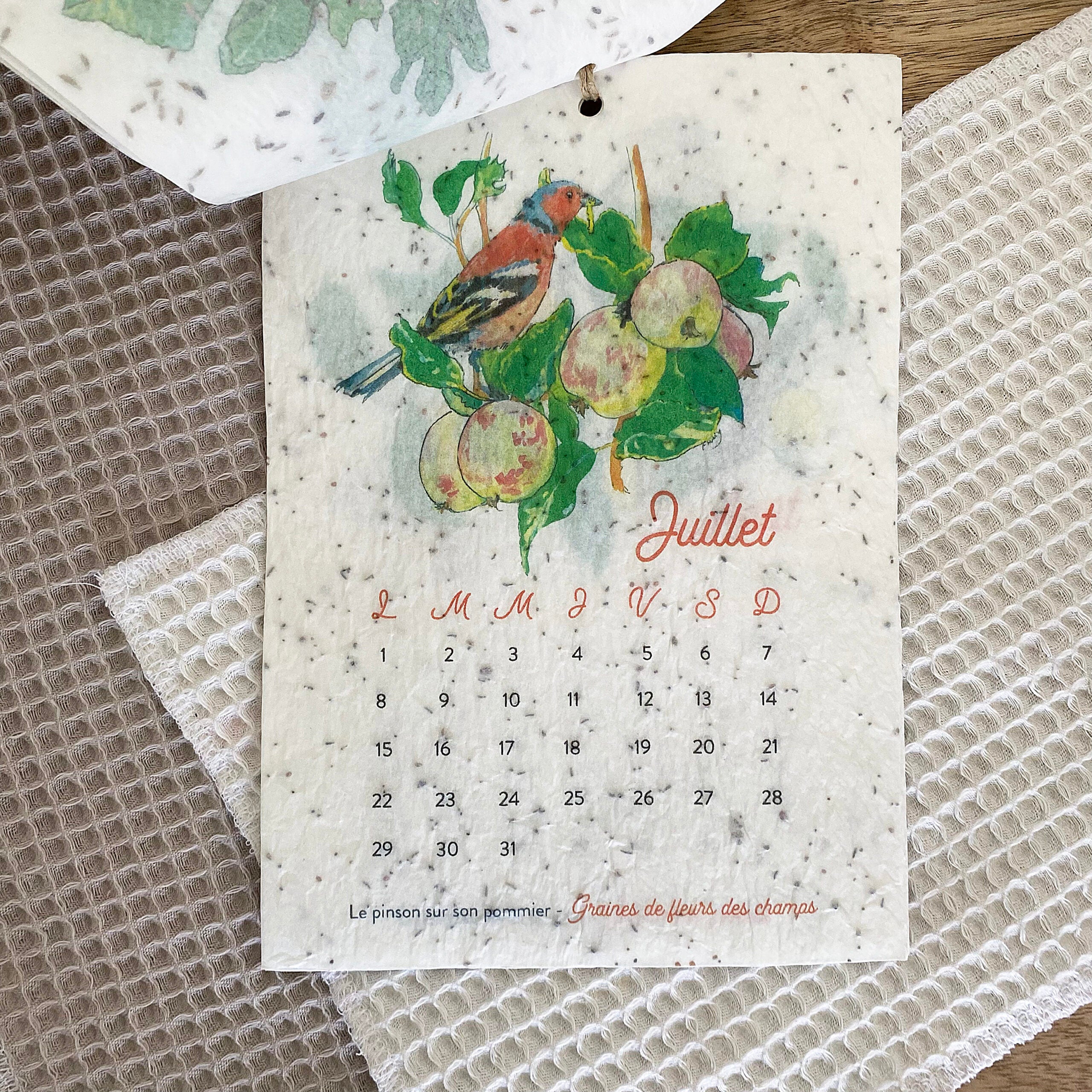 Calendrier ensemencé à planter 2024 Jardin - Format A6