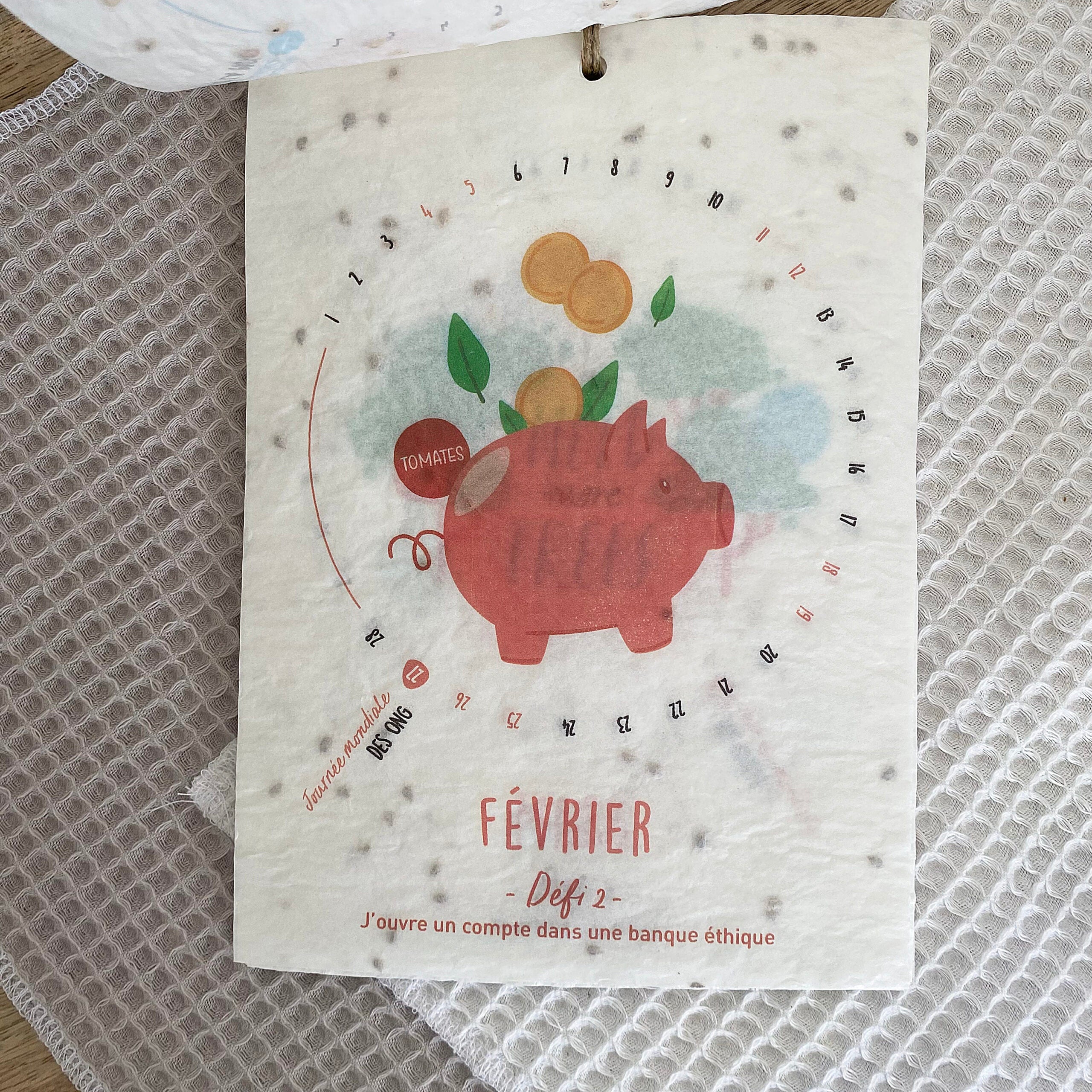 Calendrier ensemencé à planter 2024 Planète - Format A6