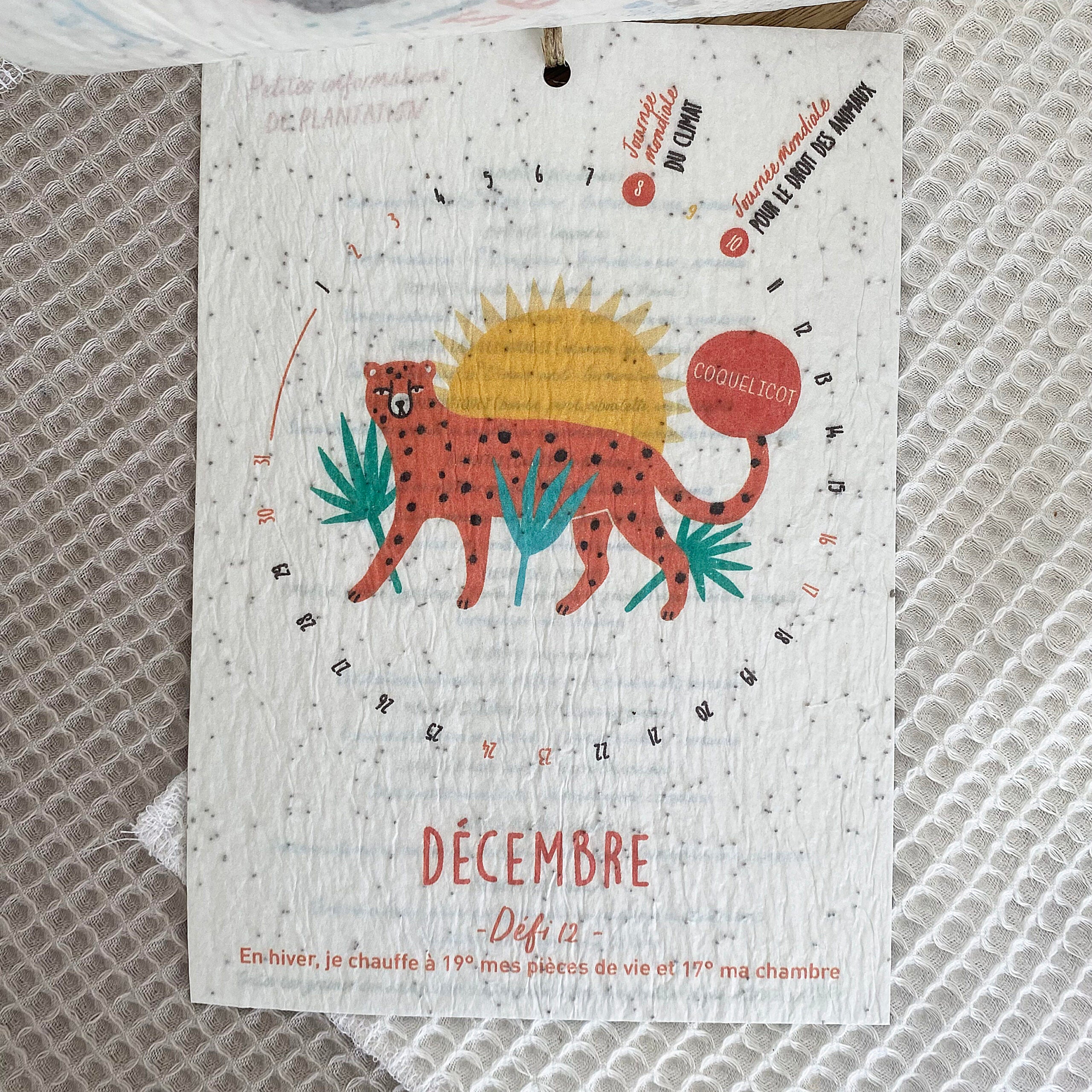 Calendrier ensemencé à planter 2024 Planète - Format A6