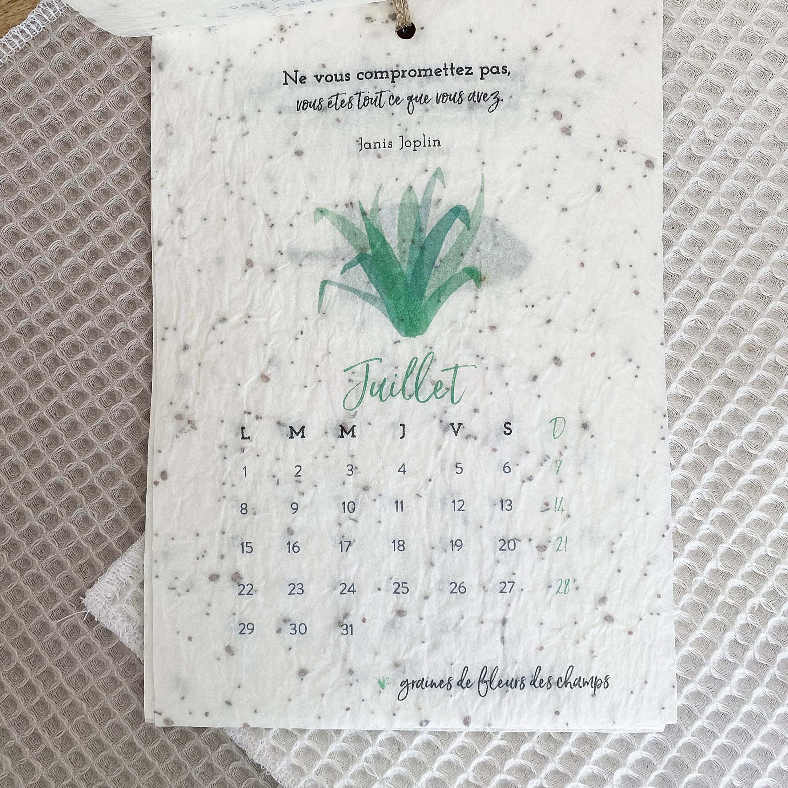 Calendrier ensemencé à planter 2024 Nature - Format A5