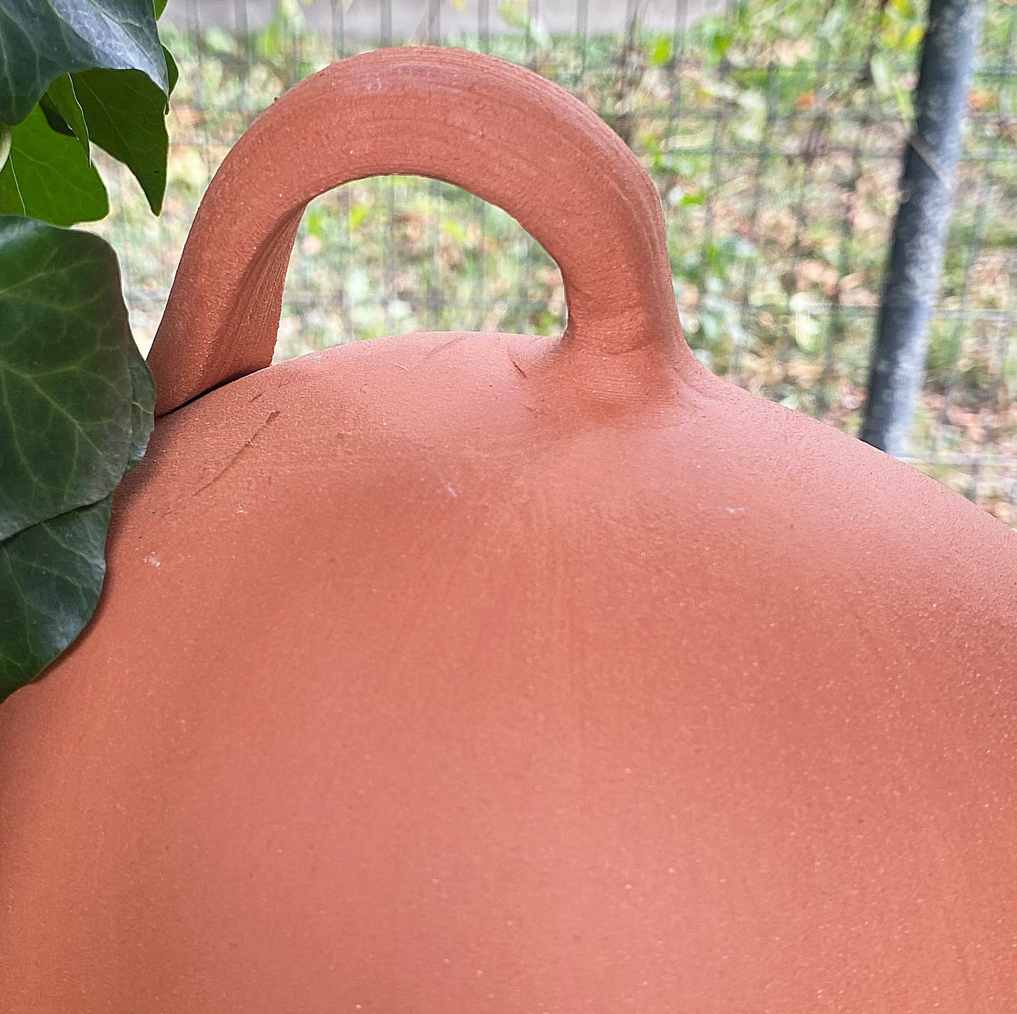 Bouteille nichoir pour moineaux et mésanges