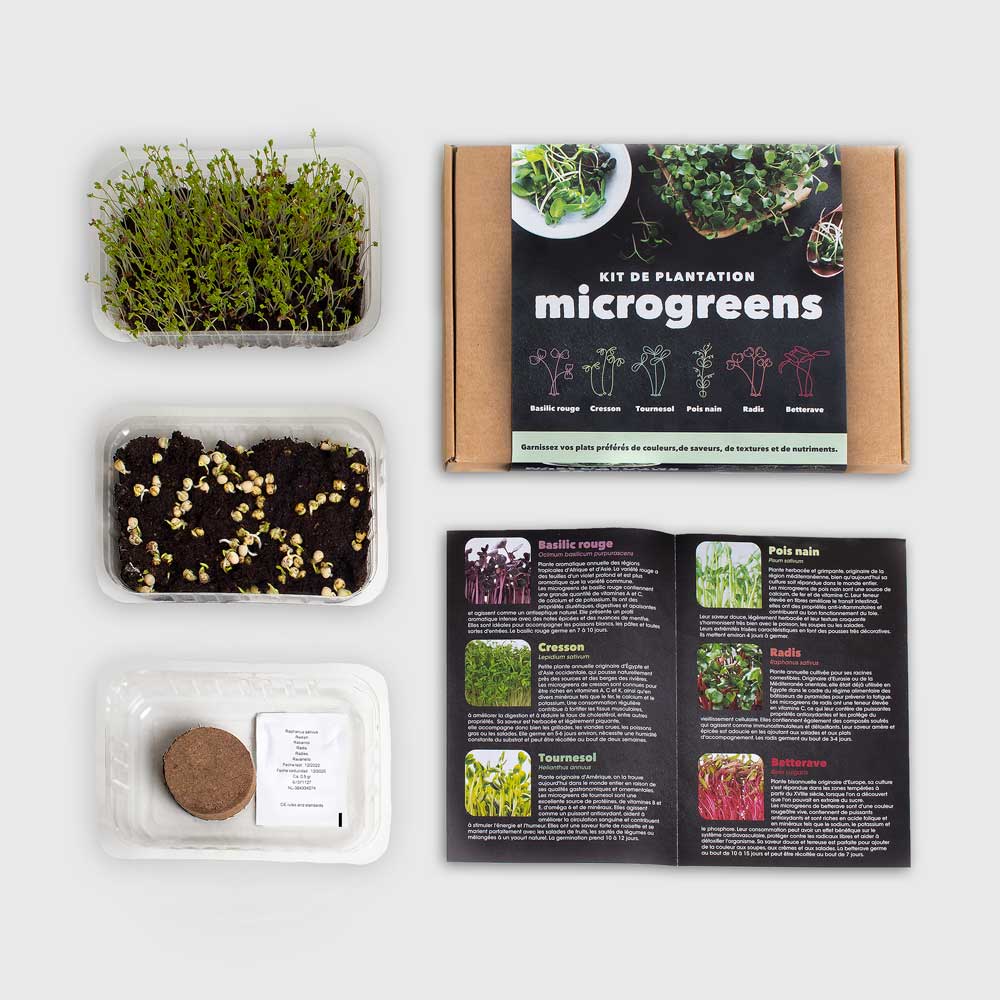 Kit de culture de micropousses Microgreens – 6 variétés