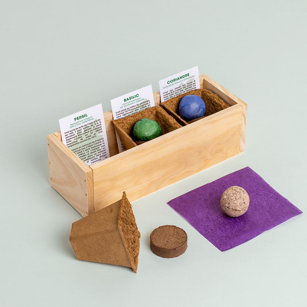 Kit de Culture Mini Potager d'Herbes Aromatiques – 3 Variétés
