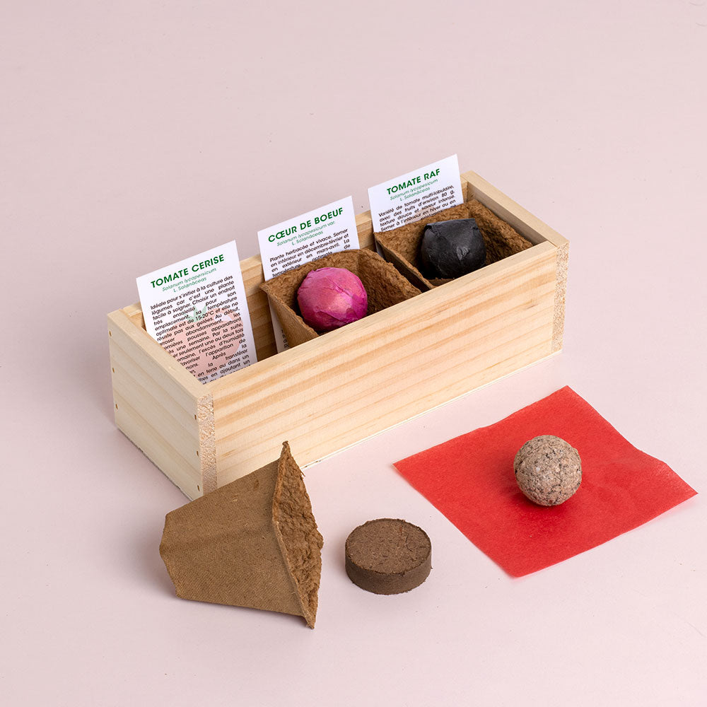 Kit de Culture Mini Potager de Tomates – 3 Variétés