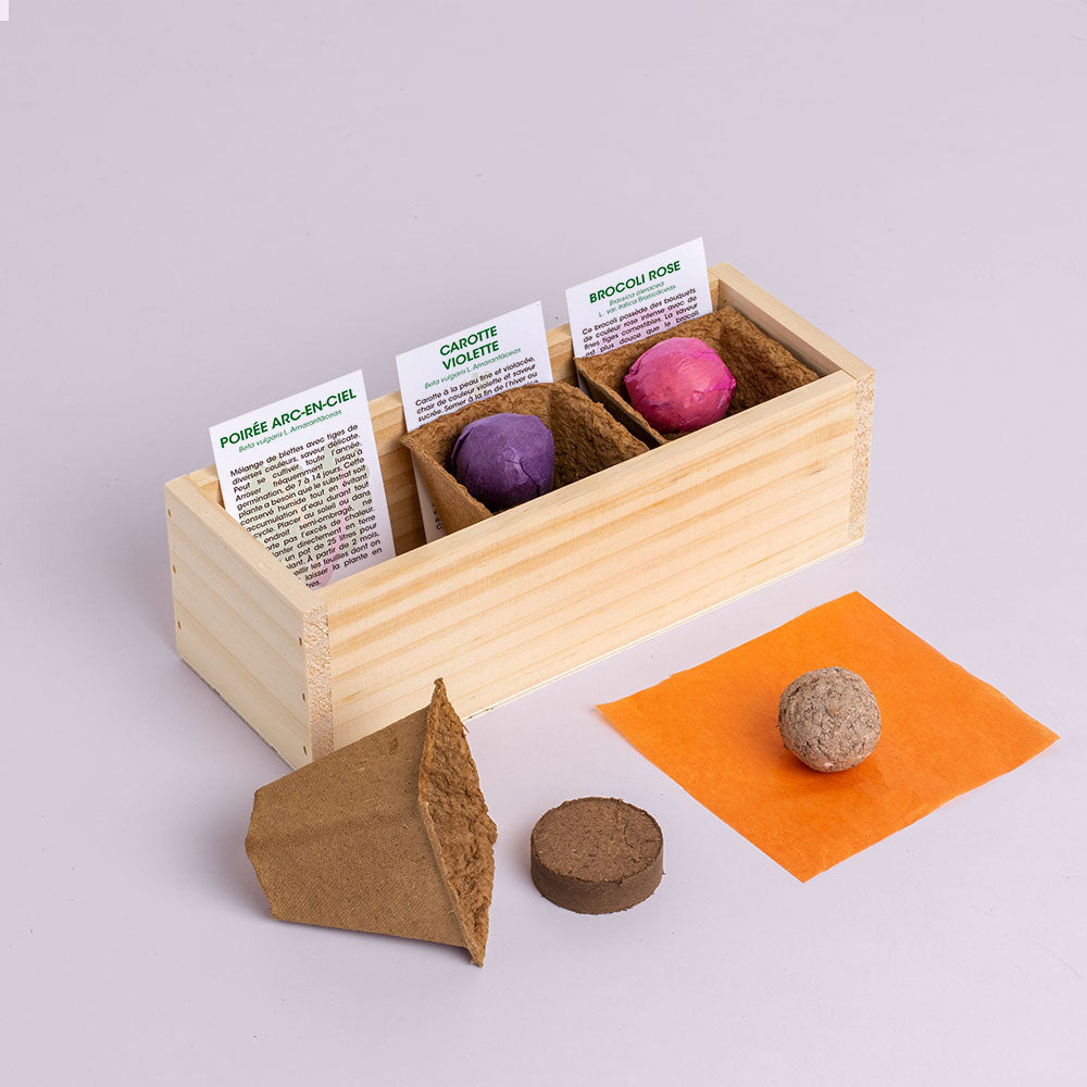 Kit de Culture Mini Potager de Légumes Étranges