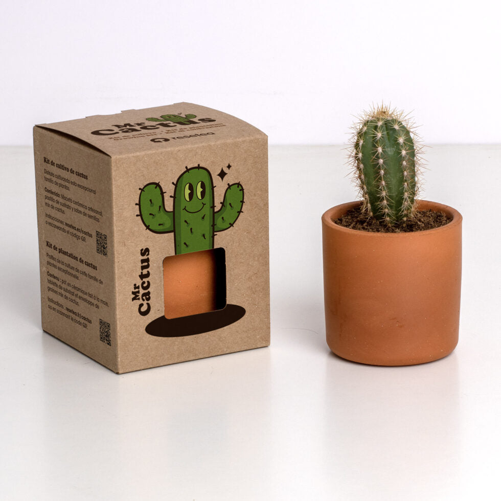 Kit de culture Mr. Cactus