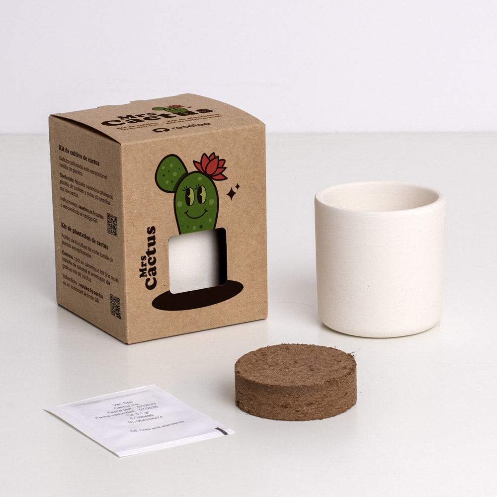 Kit de culture Mrs. Cactus