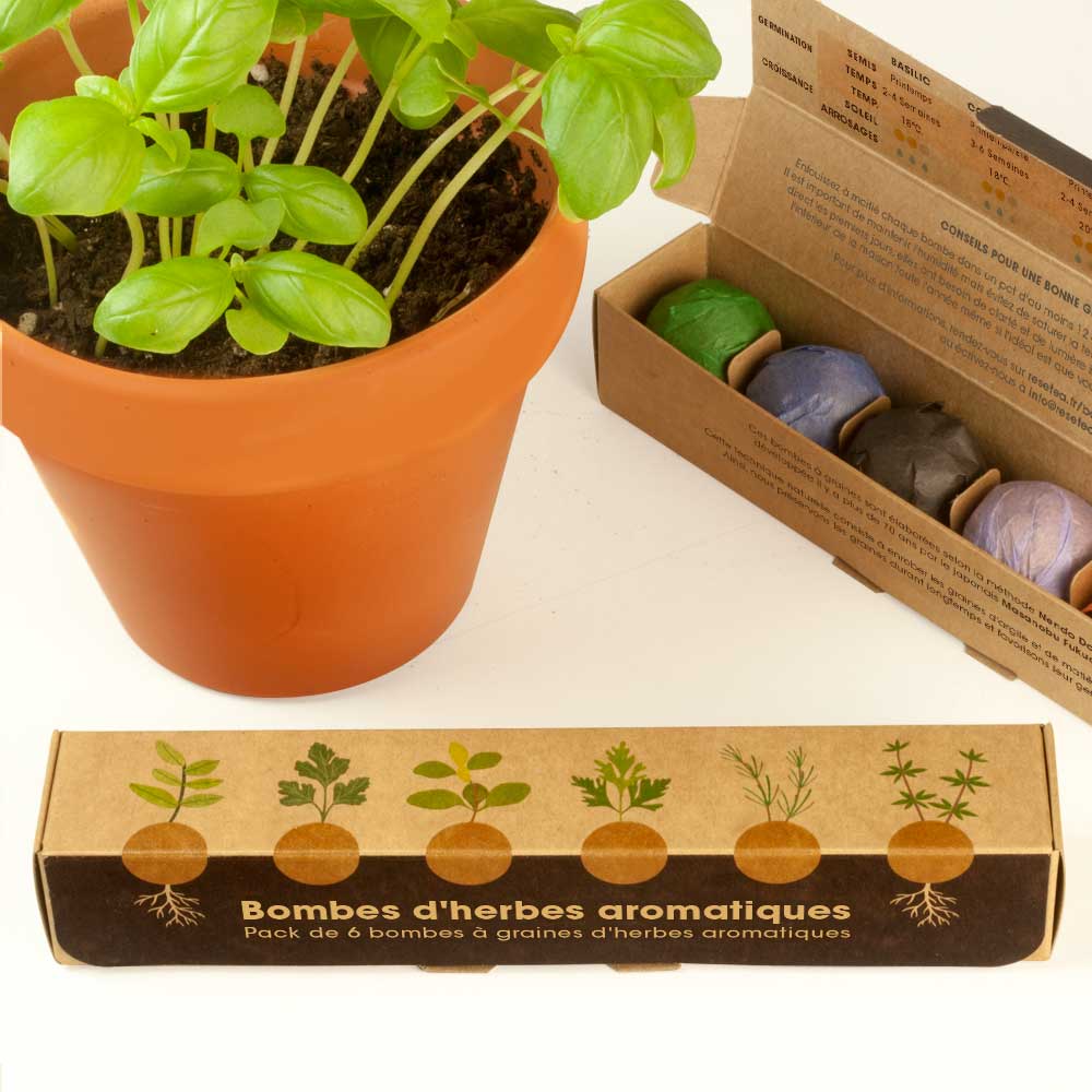 Pack de 6 bombes de graines aromatiques – Basilic, Persil, Origan, Coriandre, Romarin et Thym