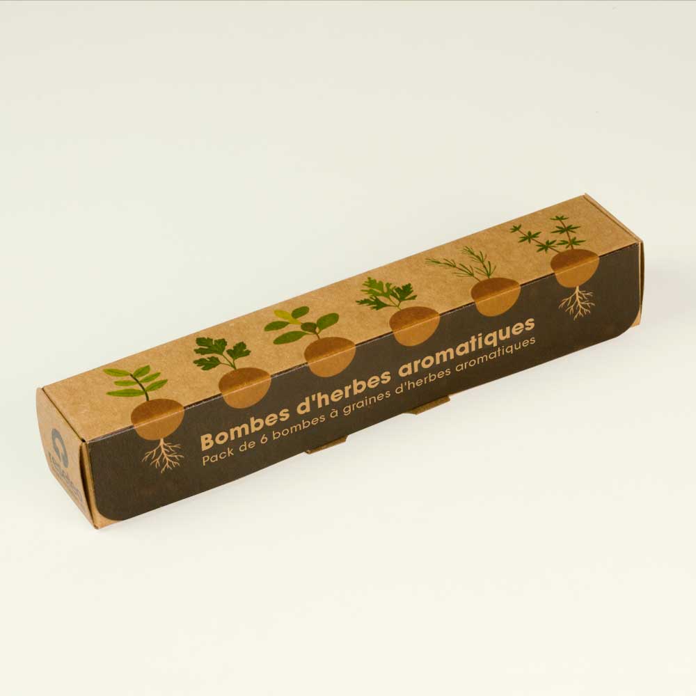 Pack de 6 bombes de graines aromatiques – Basilic, Persil, Origan, Coriandre, Romarin et Thym