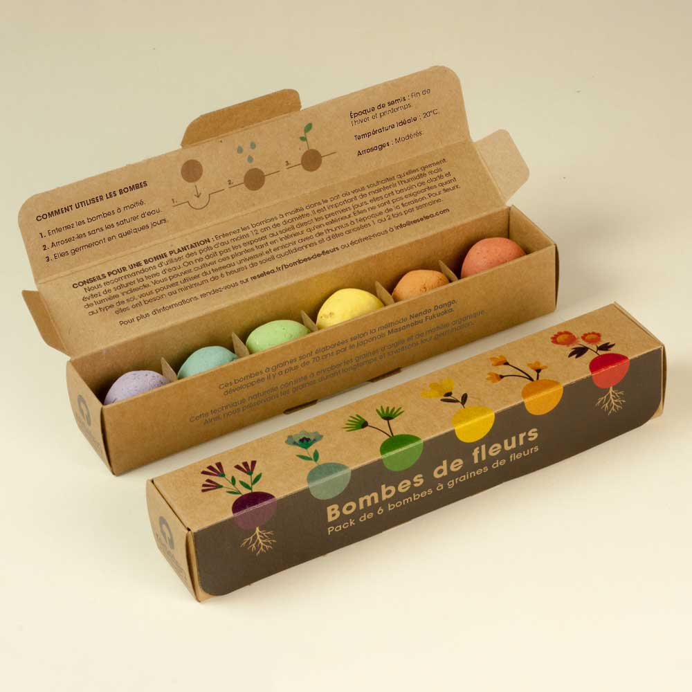 Pack de 6 bombes de graines de fleurs sauvages