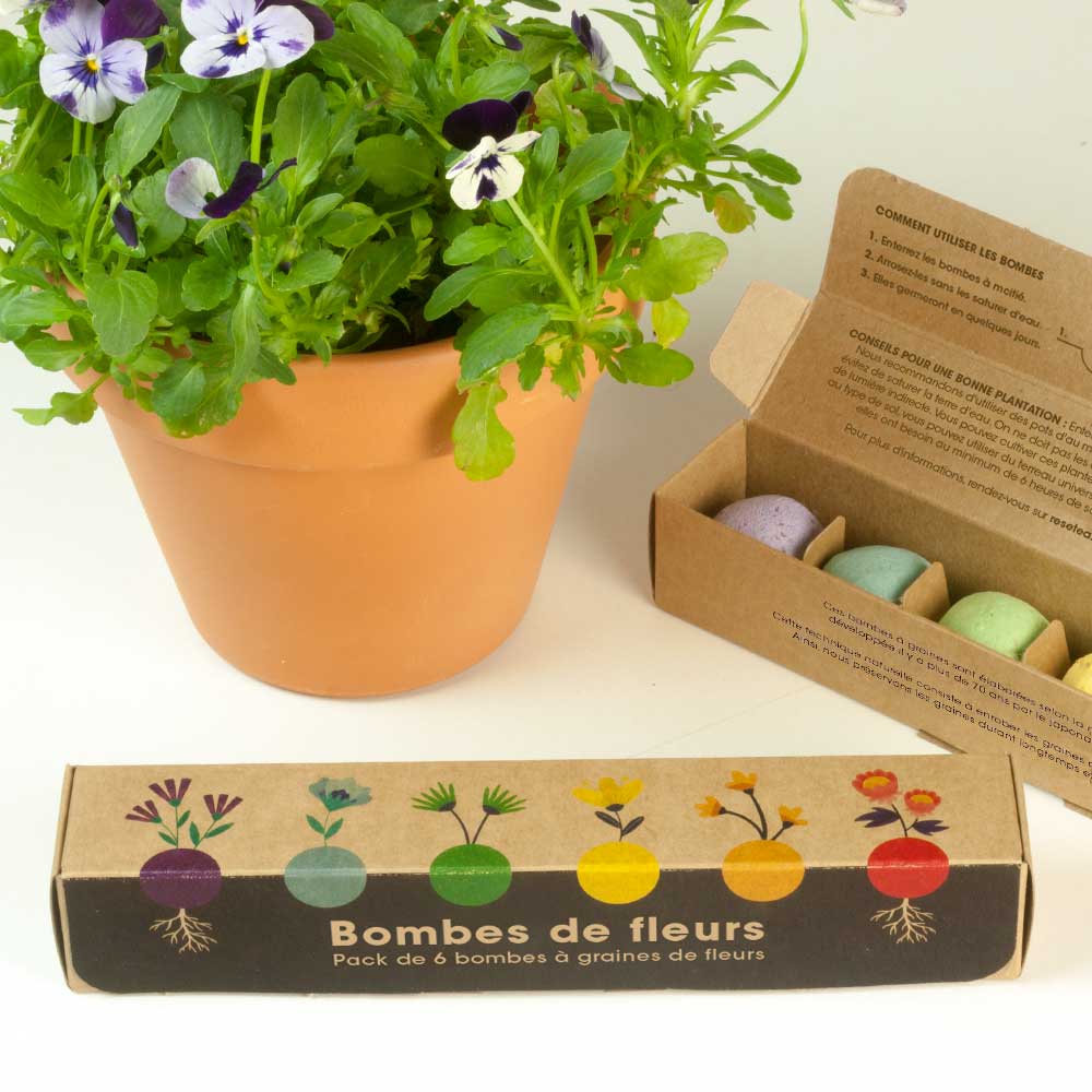 Pack de 6 bombes de graines de fleurs sauvages