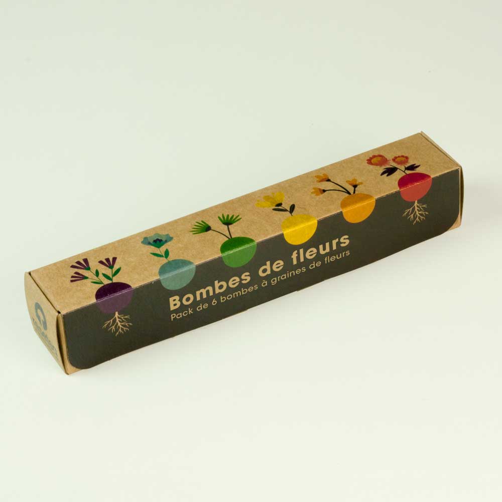 Pack de 6 bombes de graines de fleurs sauvages