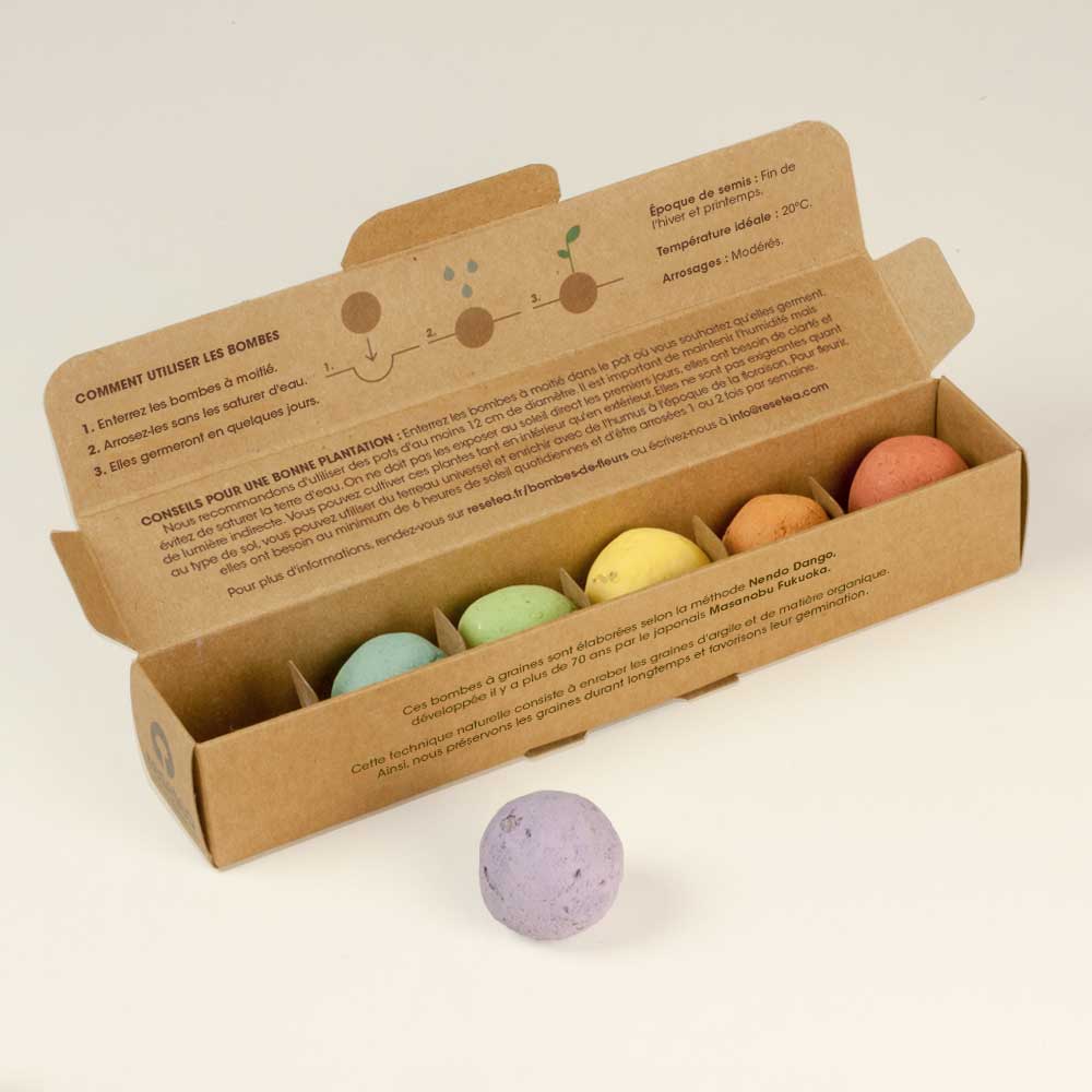 Pack de 6 bombes de graines de fleurs sauvages