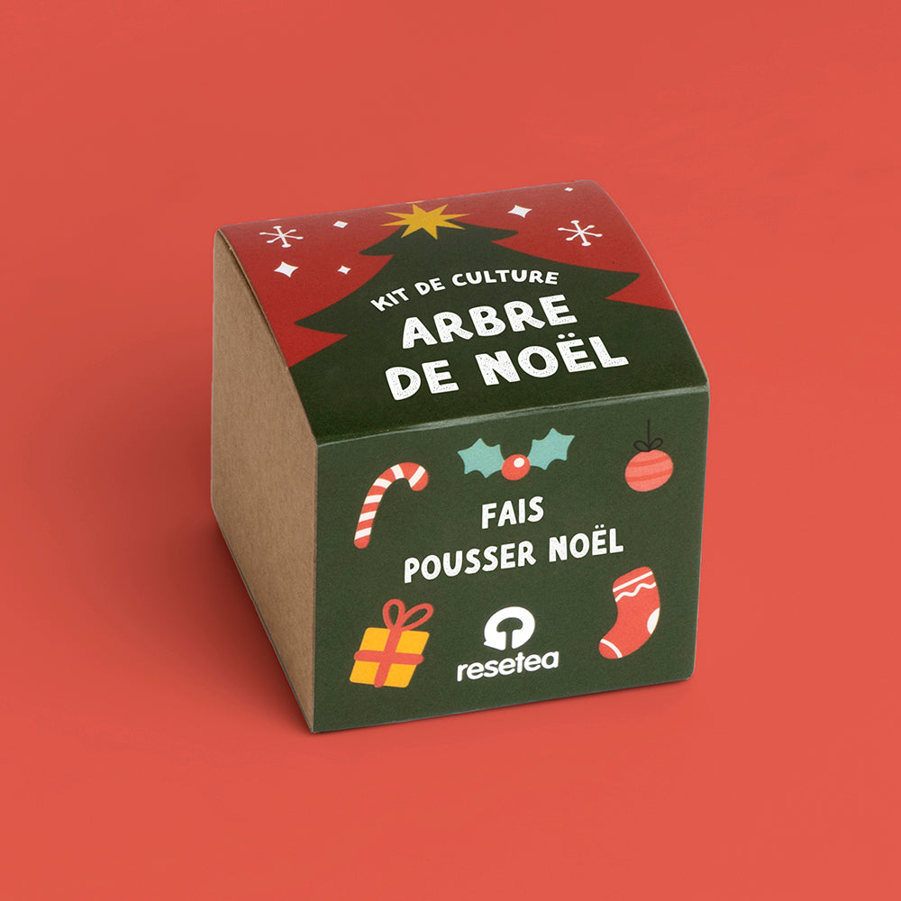 Kit de culture Arbre de Noël