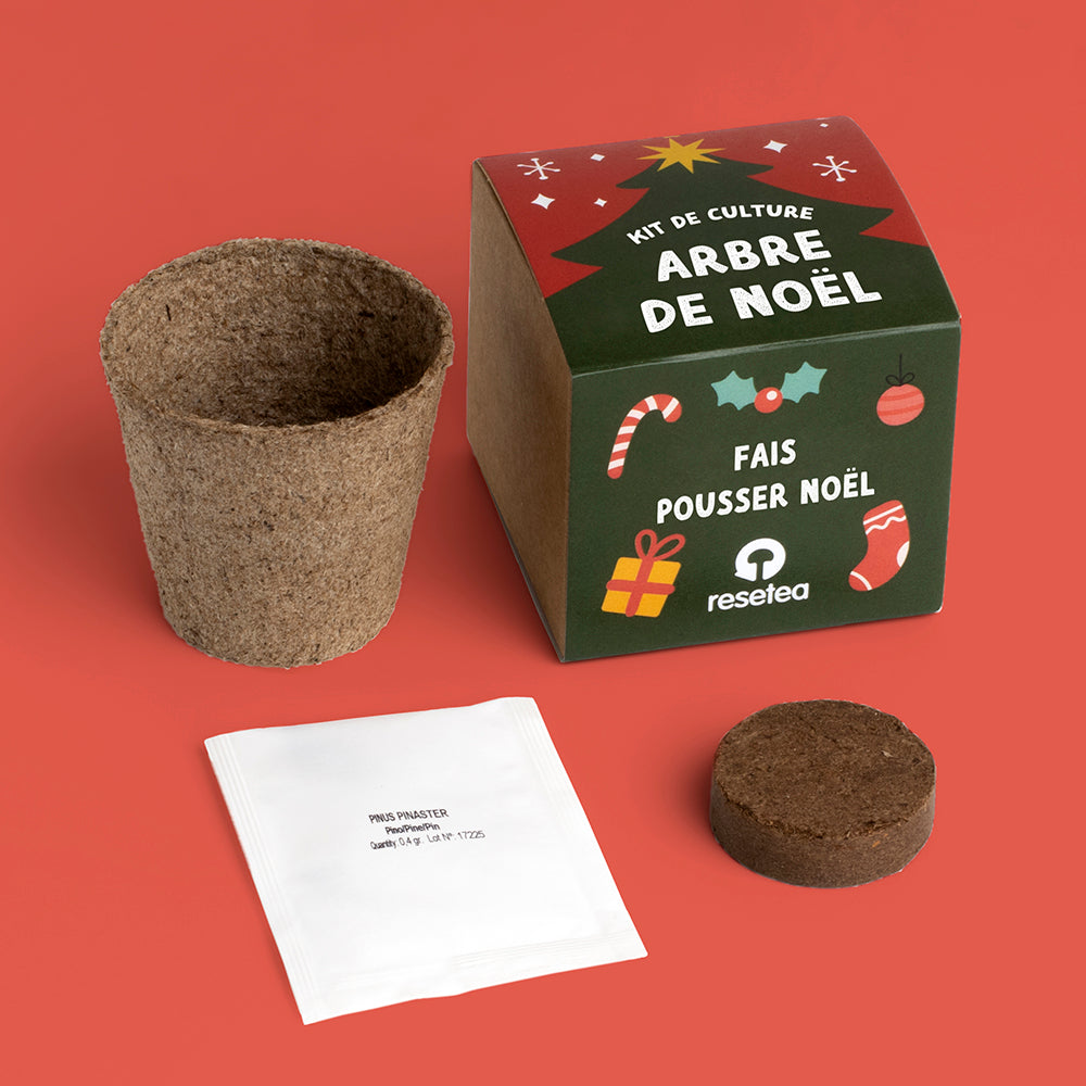 Kit de culture Arbre de Noël