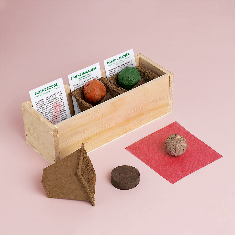 Kit de culture de piments – Habanero, Jalapeño et Piment – Resetea