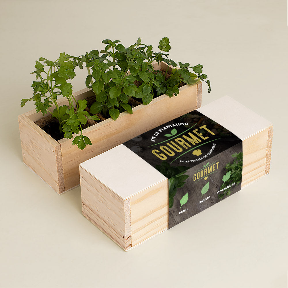 Kit de culture Gourmet – Persil, Basilic et Coriandre