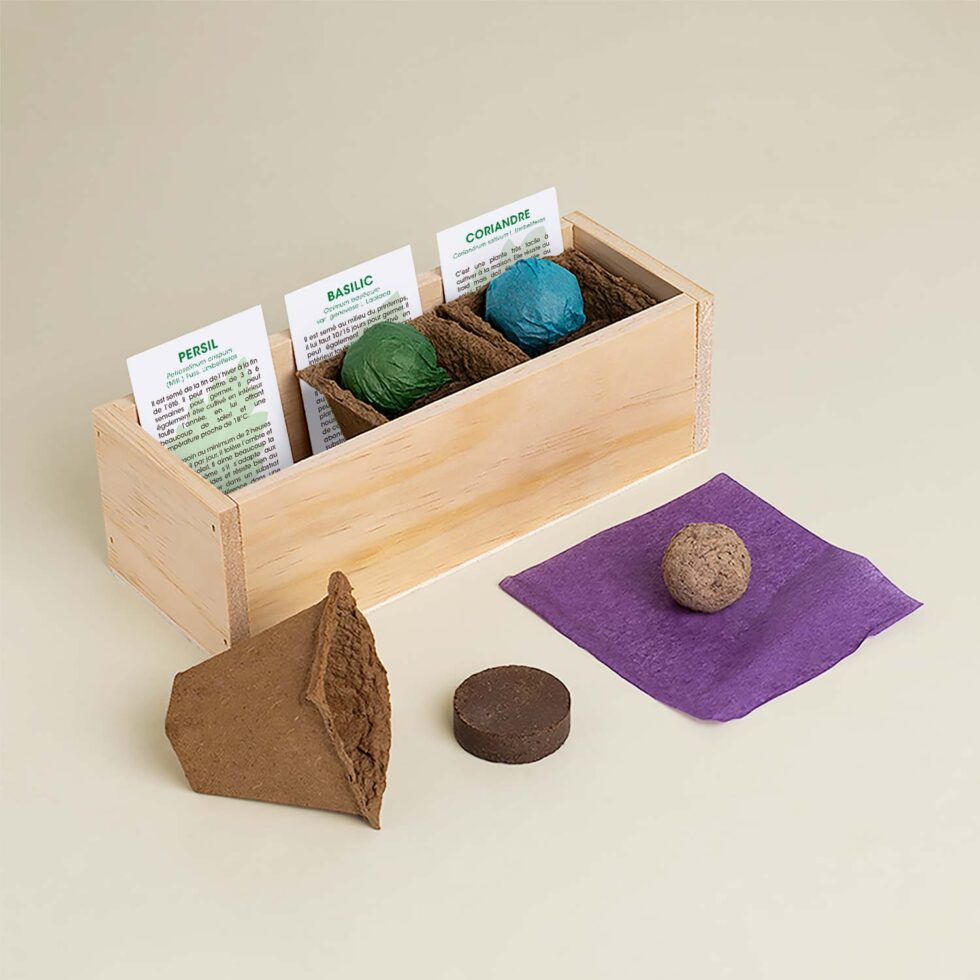 Kit de culture Gourmet – Persil, Basilic et Coriandre