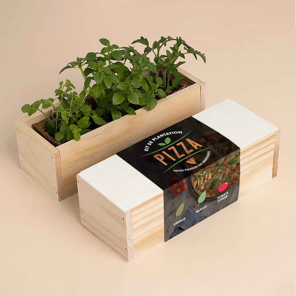 Kit de culture Pizza – Origan, Basilic et Tomate Cerise