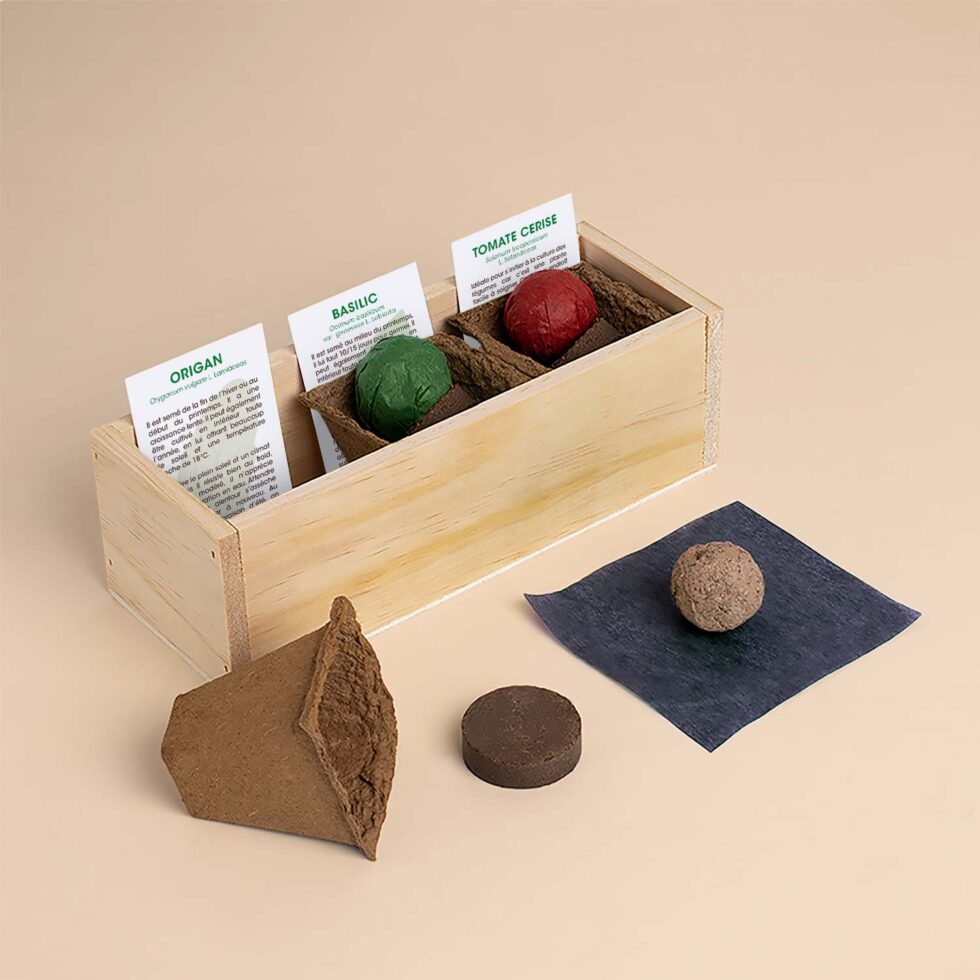 Kit de culture Pizza – Origan, Basilic et Tomate Cerise
