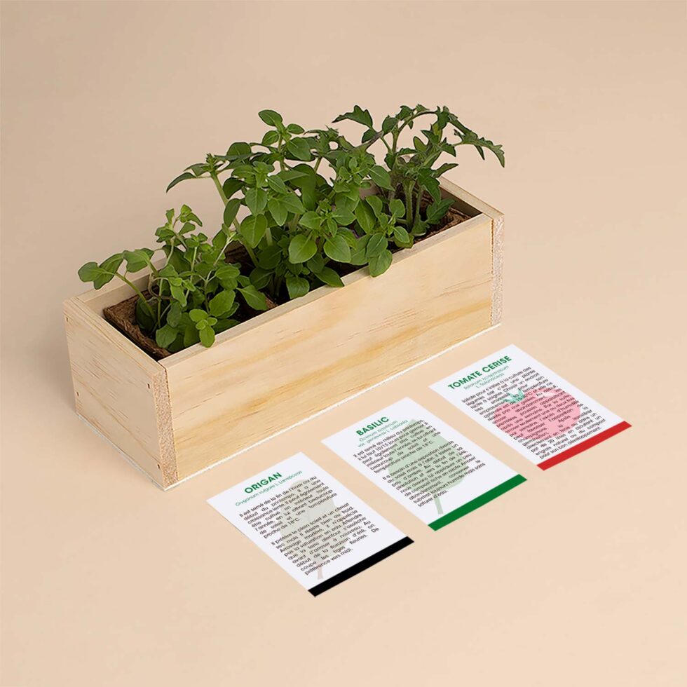 Kit de culture Pizza – Origan, Basilic et Tomate Cerise
