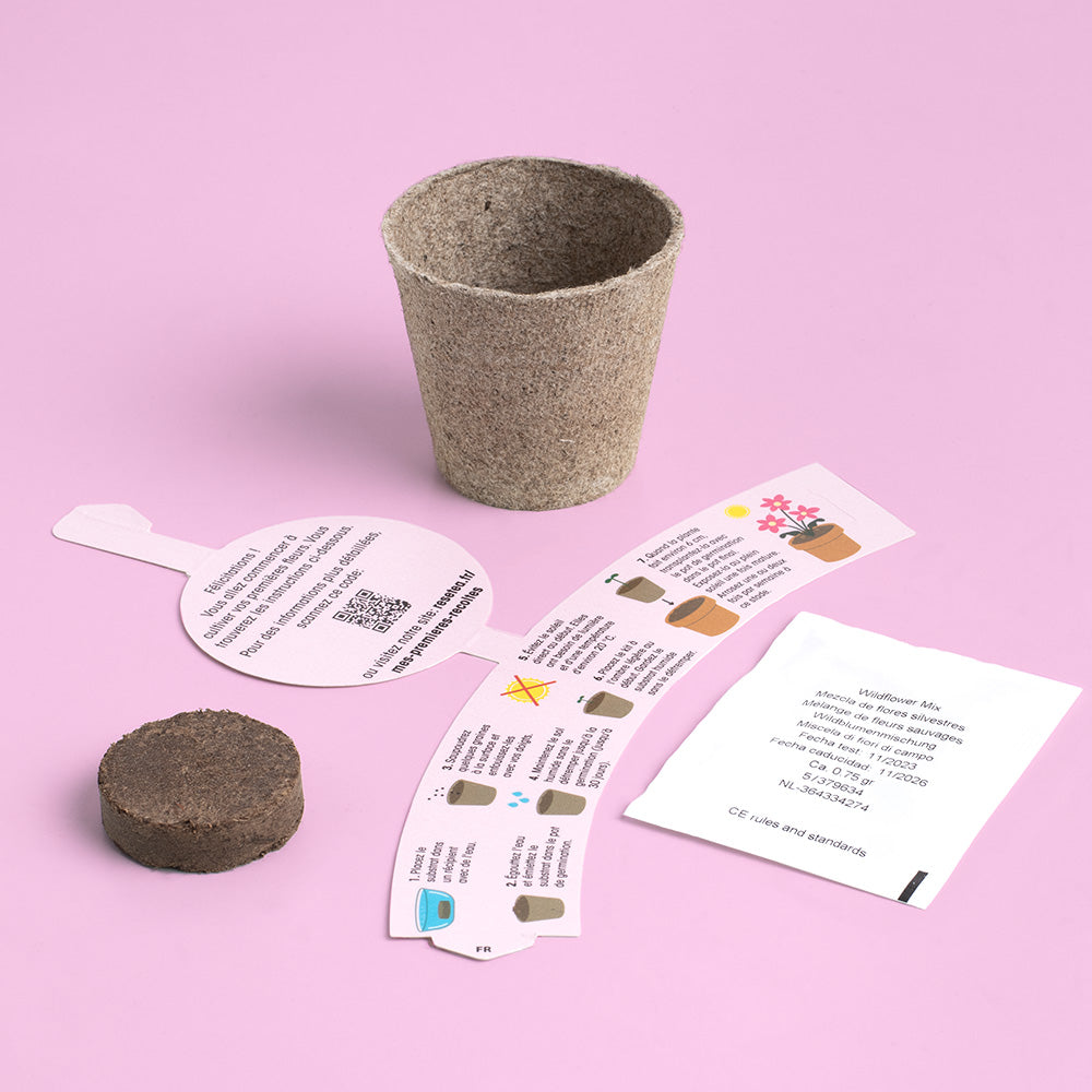 Kit de Culture Ma Première Récolte de Fleurs