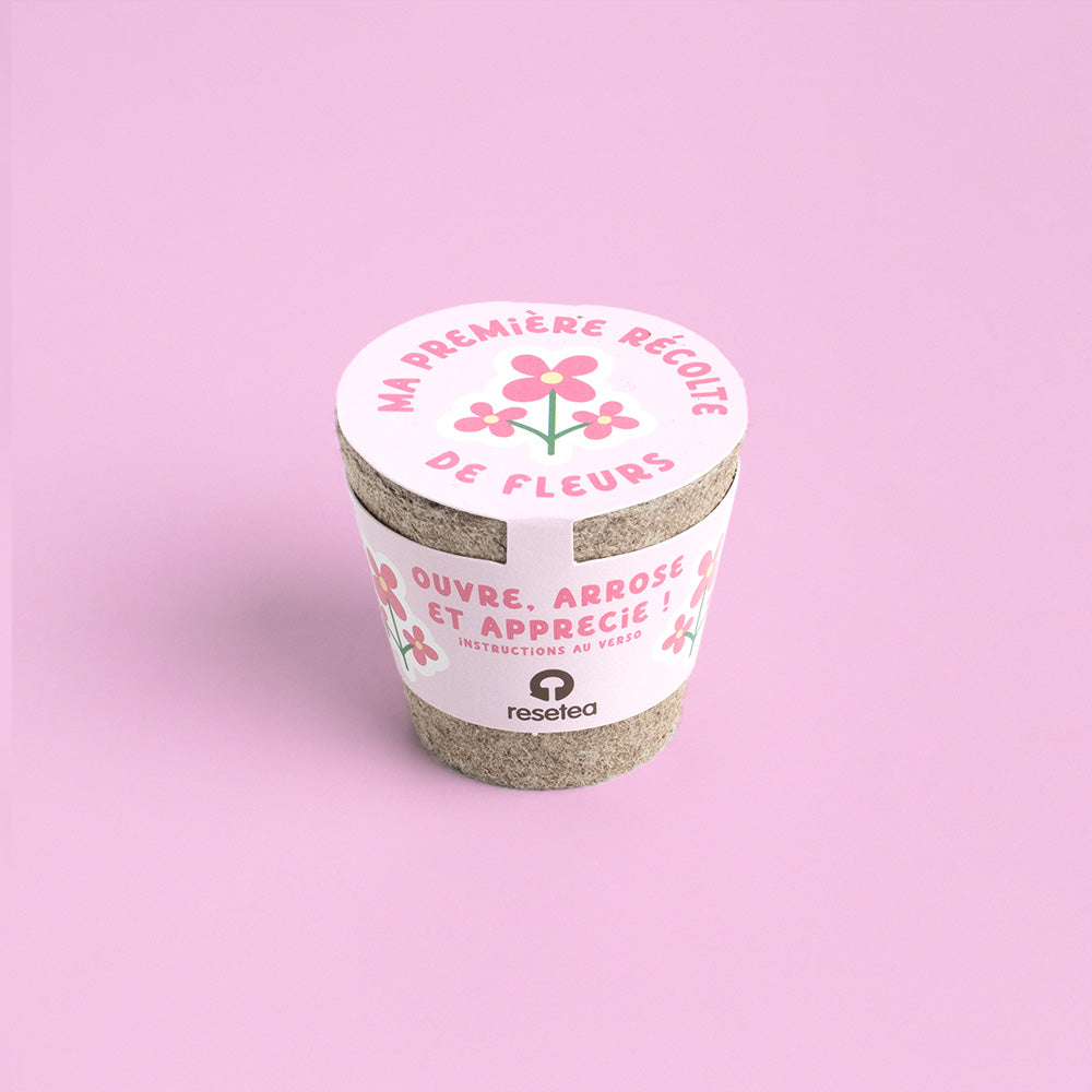 Kit de Culture Ma Première Récolte de Fleurs