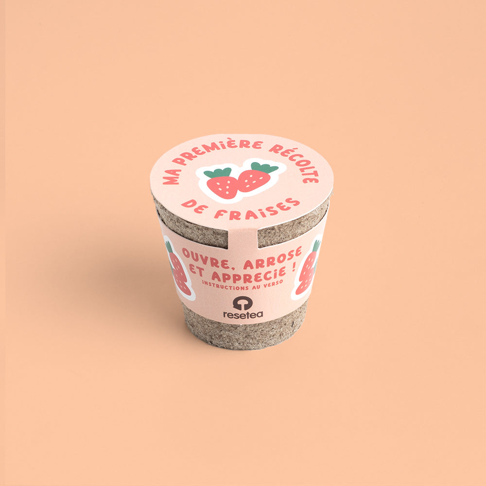 Kit de Culture Ma Première Récolte de Fraises