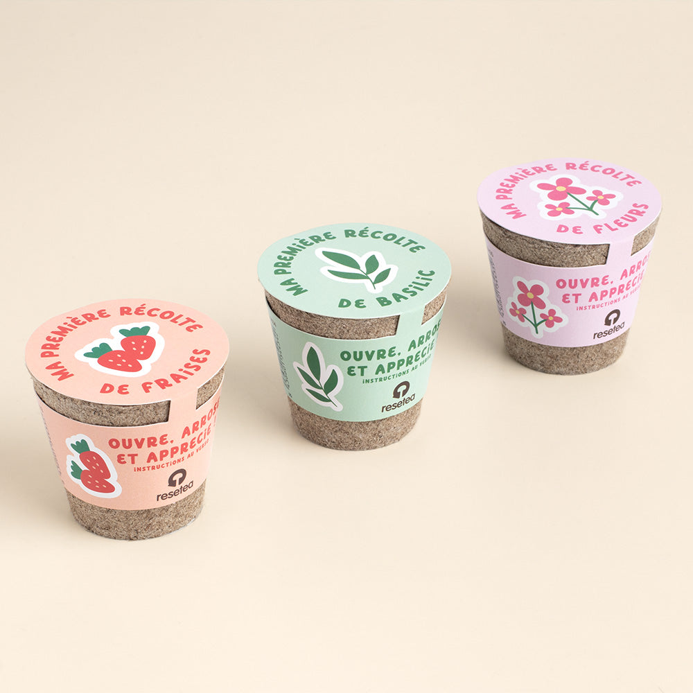 Kit de Culture Ma Première Récolte de Fleurs