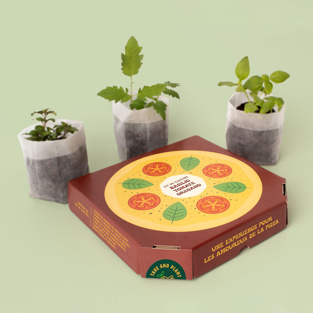 Kit de culture Pizza Lovers – Basilic, Tomate et Origan