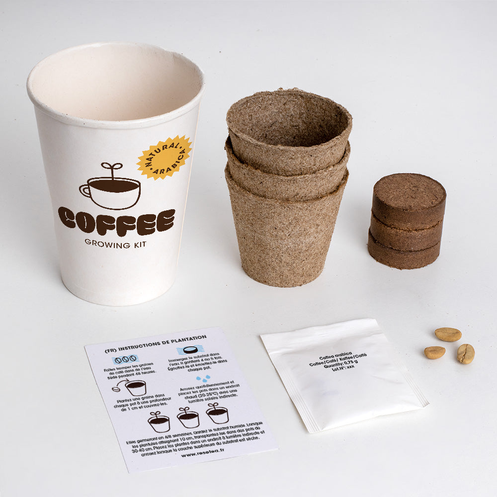 Kit de Culture de Café Arabica