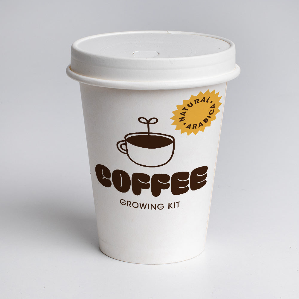 Kit de Culture de Café Arabica