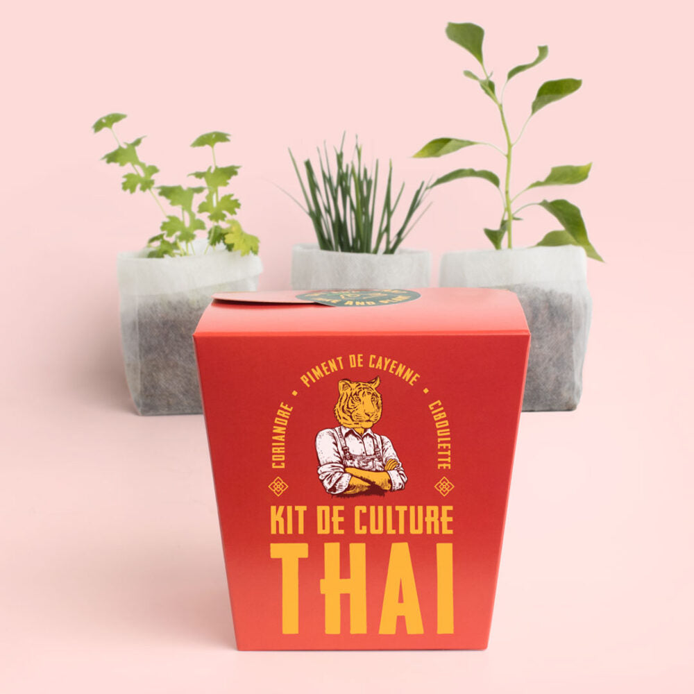 Kit de Culture Thai – Coriandre, Piment et Ciboulette