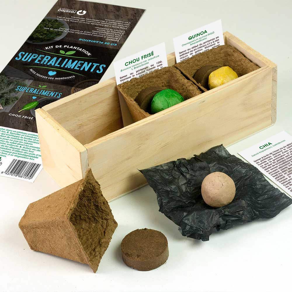 Kit d'Auto-Culture Superaliments – Chia, Chou Frisé et Quinoa