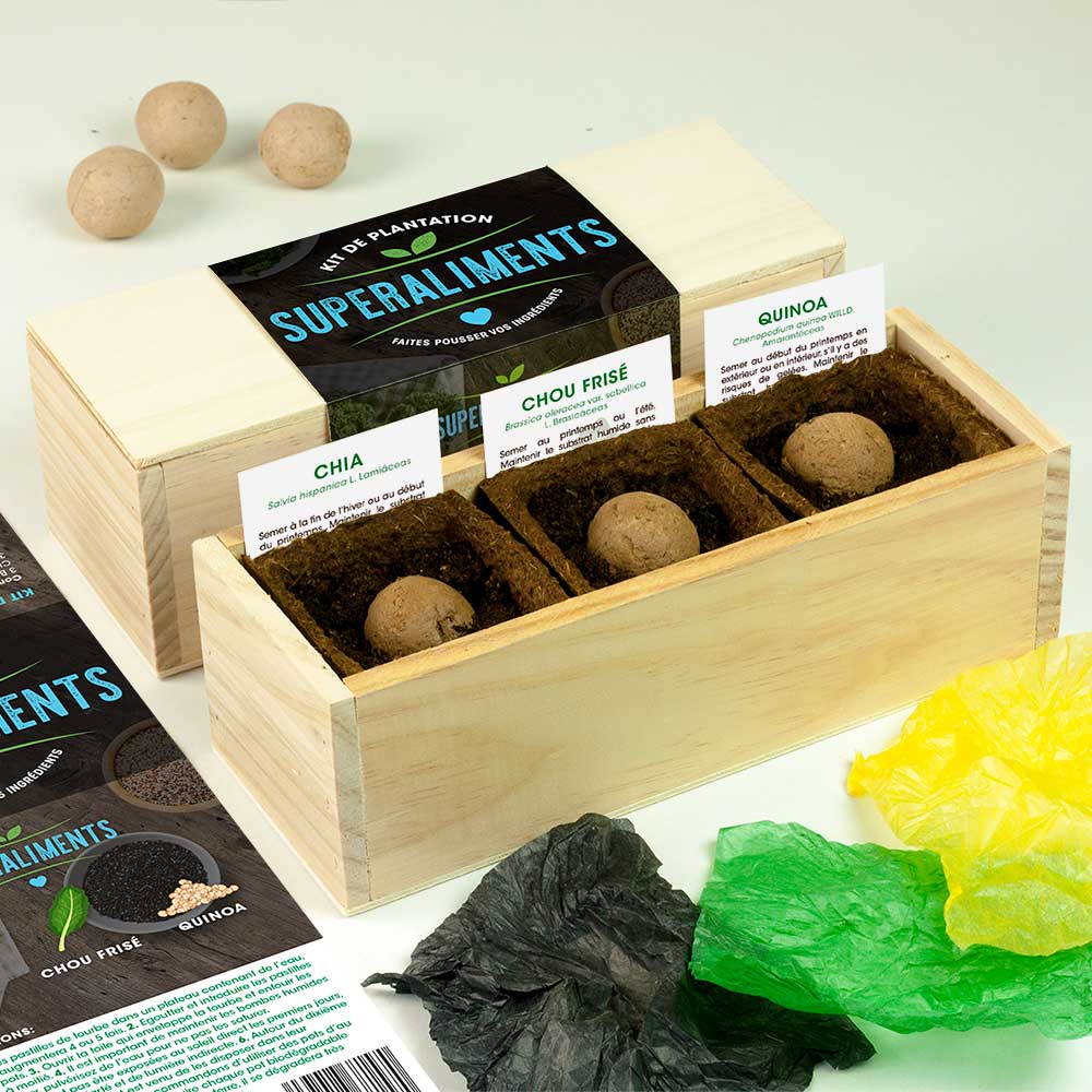 Kit de Culture Mini Potager Méditerranéen – Romarin, Origan et Thym