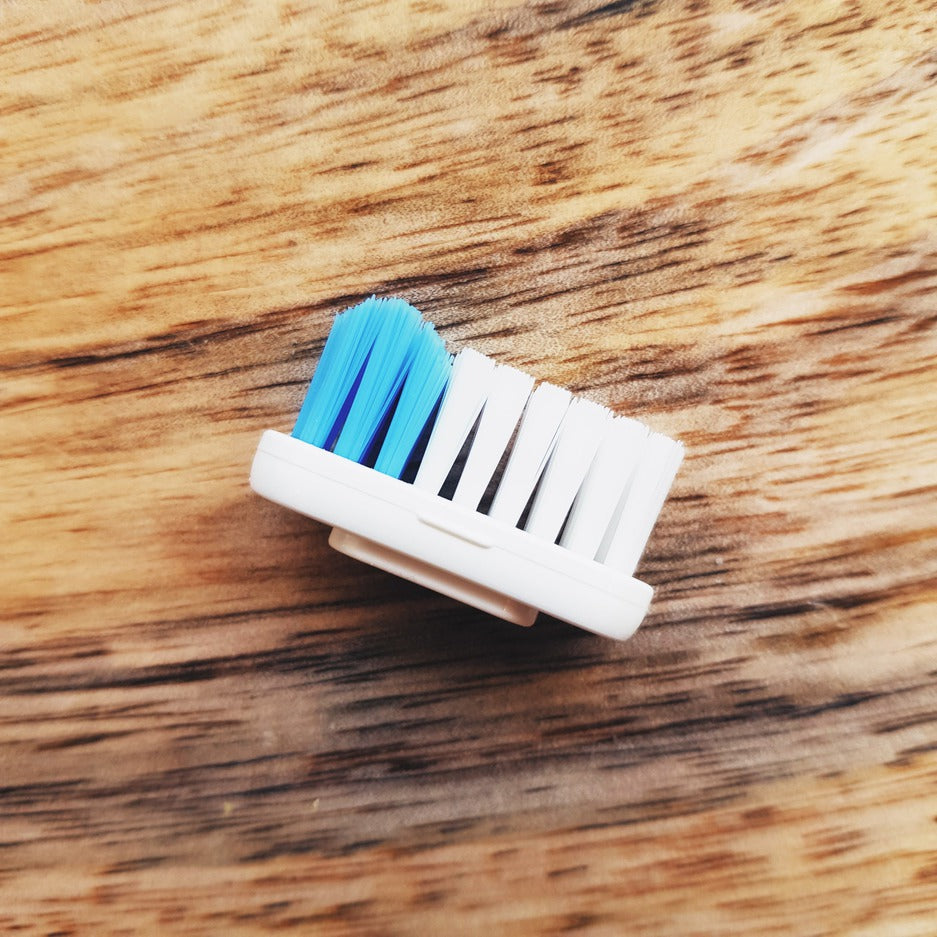 brosse à dents - tête rechargeable LAMAZUNA